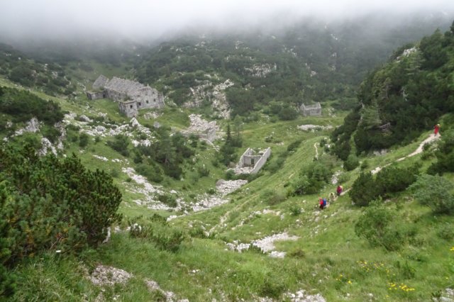 dsc03564.jpg