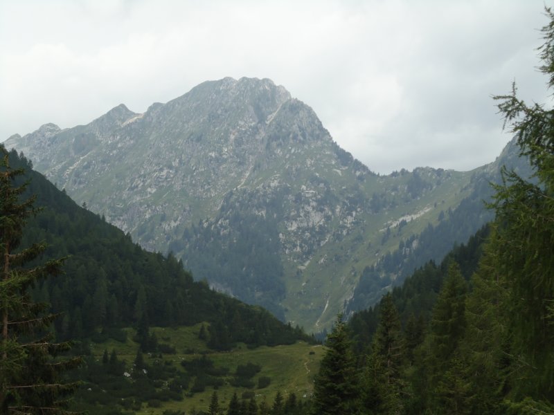 dsc07676.jpg