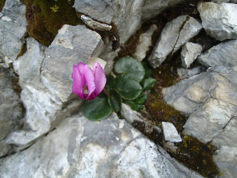 dsc07744.jpg