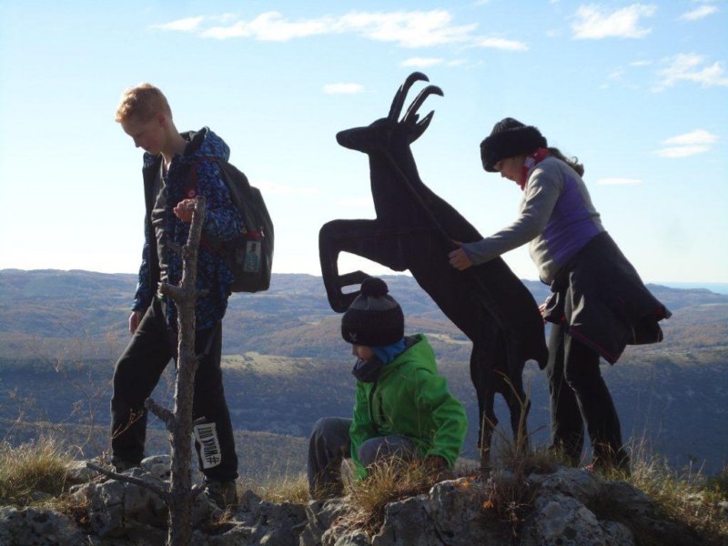 photo15.jpg
