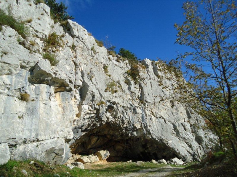 photo18.jpg