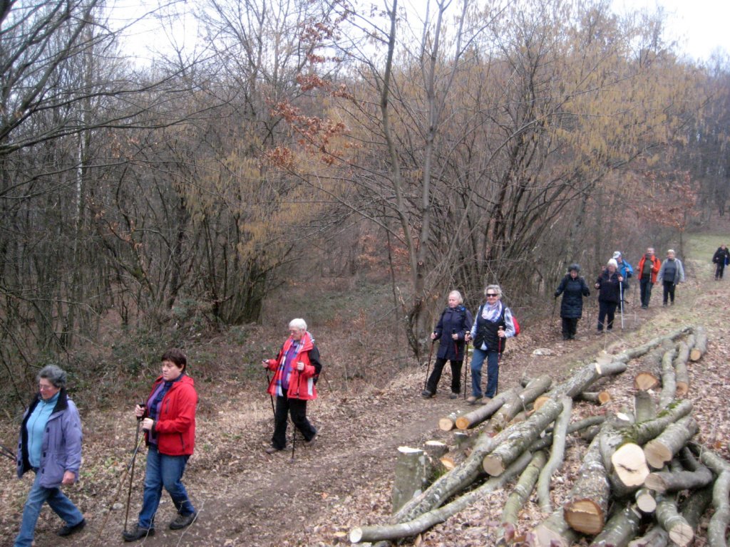img_4966.jpg