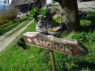 smohor